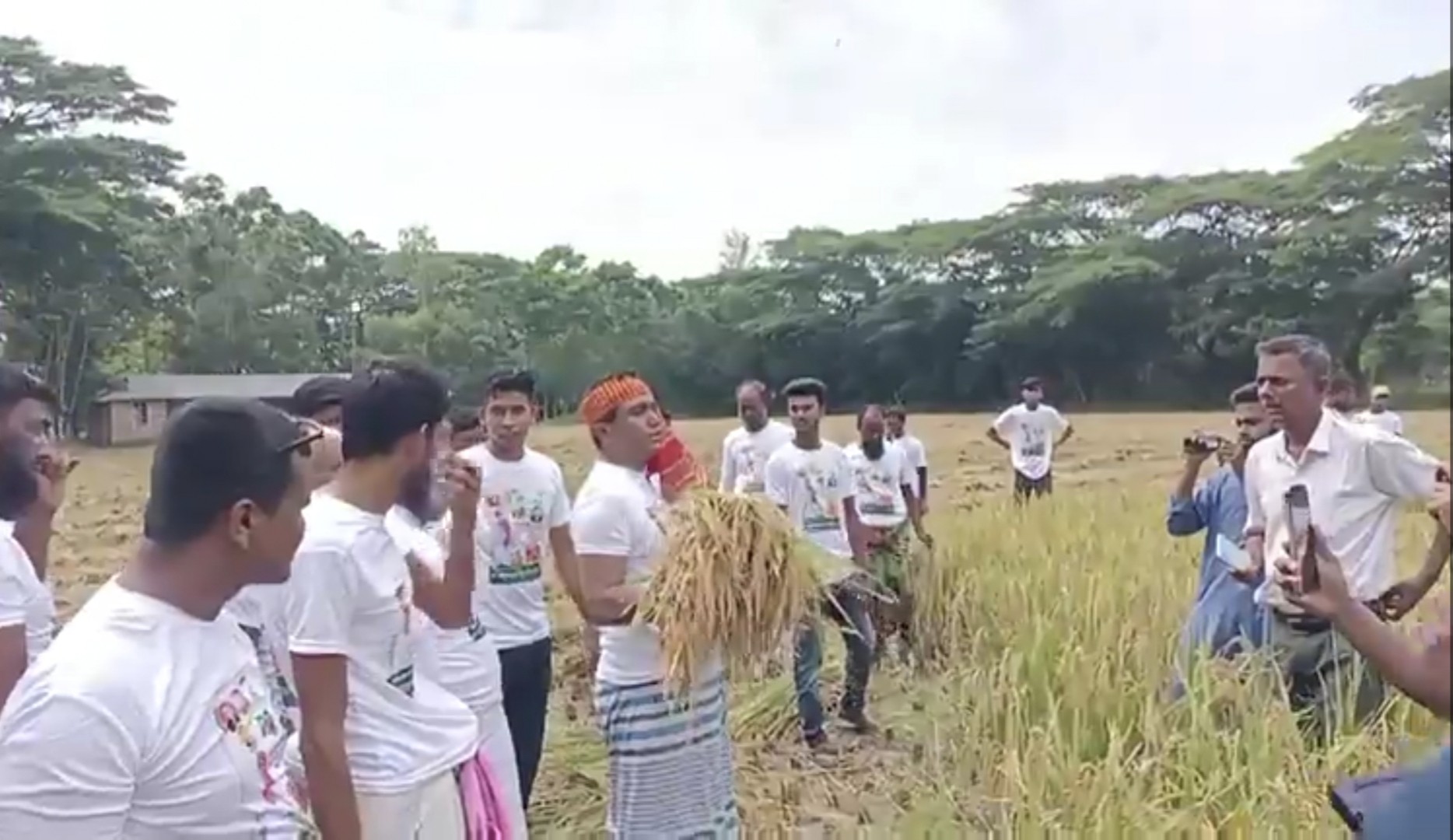 ৪৫ কৃষকের ধান কেটে ঘরে তুলে দিলেন কেন্দ্রীয় আ.লীগ নেতা শামীম